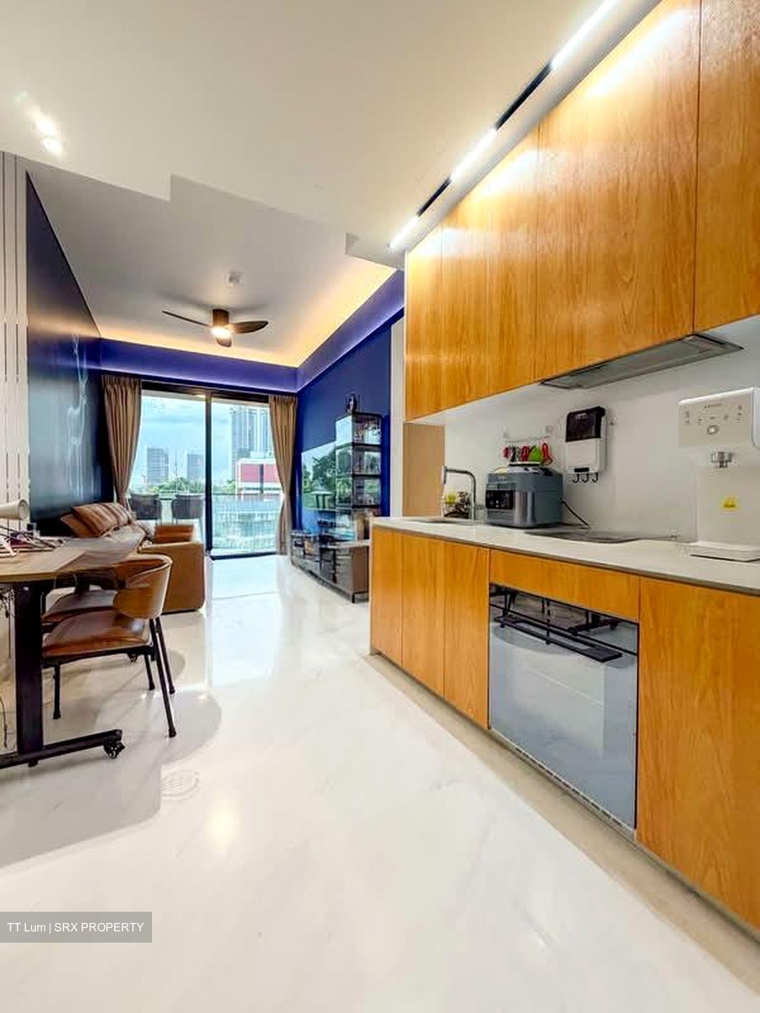 Peak Residence (D11), Condominium #553783421